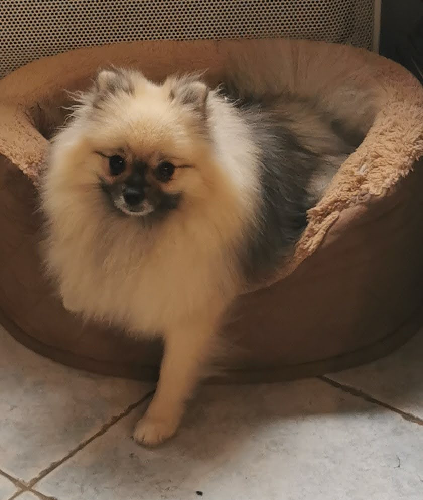 unabella (Sans Affixe)